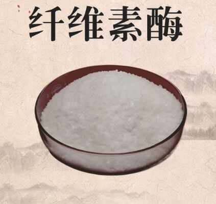 अच्छी कीमत सेल्युलेस एंजाइम कैस 9012-54-8 सफेद पाउडर 99% शुद्धता ऑनलाइन