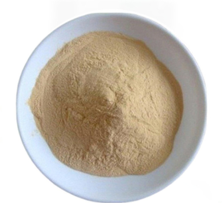 अच्छी कीमत CAS 8013-01-2 स्वाद बढ़ाने वाला Saccharomyces Cerevisiae से खमीर निकालना ऑनलाइन